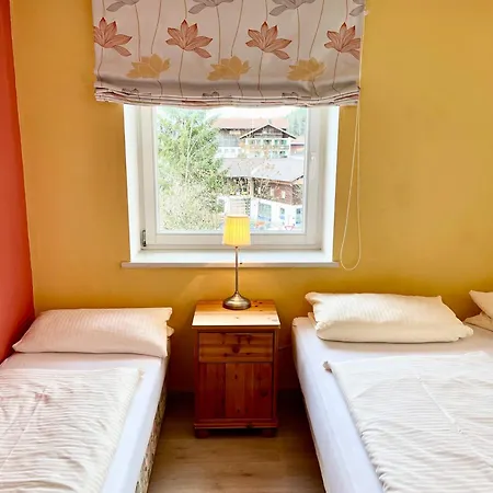 Διαμέρισμα Ferienwohnung Am Muhlbach 21 Mit Bergbahn Unlimited Όμπερσντορφ
