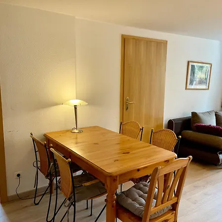 Διαμέρισμα Ferienwohnung Am Muhlbach 21 Mit Bergbahn Unlimited Όμπερσντορφ